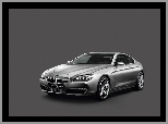 BMW 6, Concept, Car
